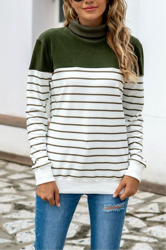 Claire Striped Contrast Turtleneck Sweater